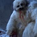 A Wampa