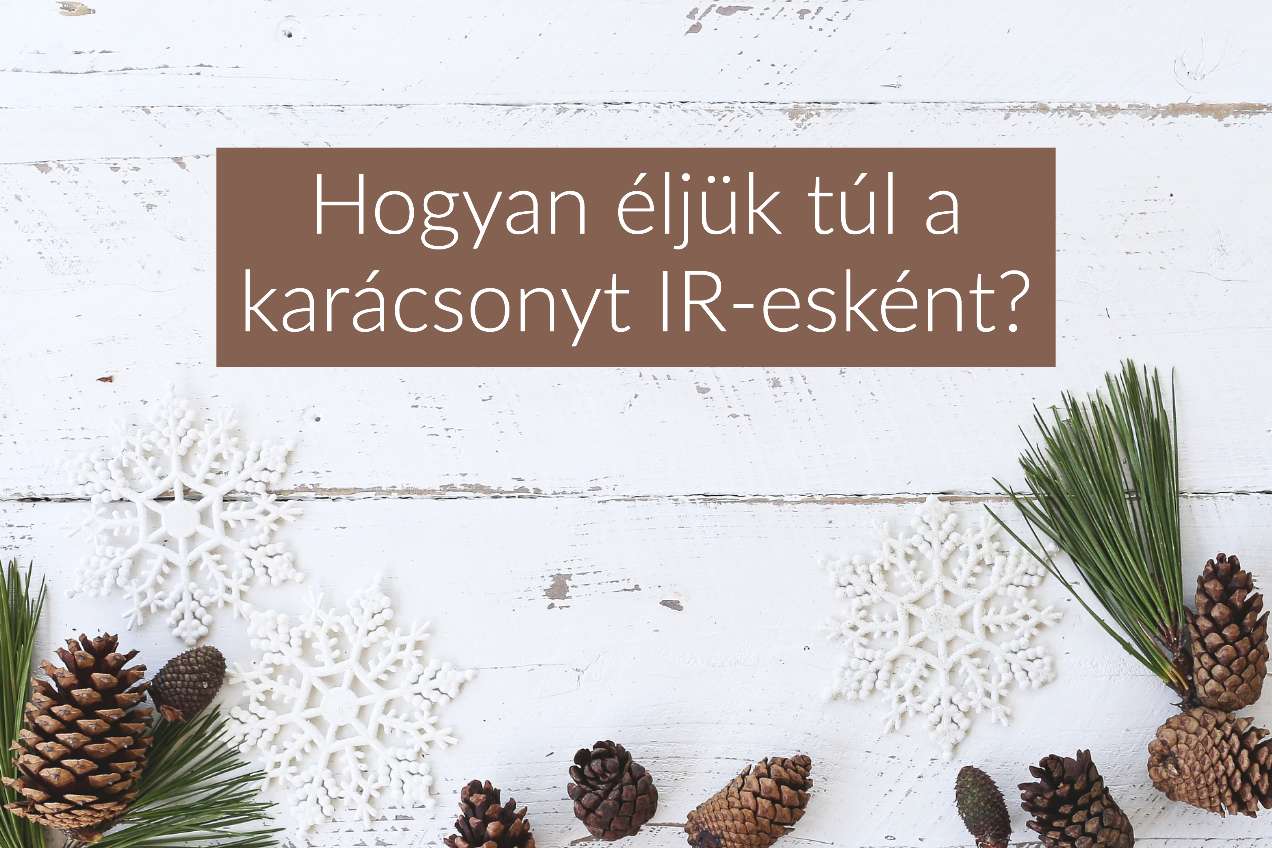 Hogyan éljük túl a karácsonyt IR-esként?