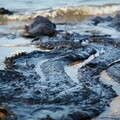 Environmental Impact of Oil Sludge