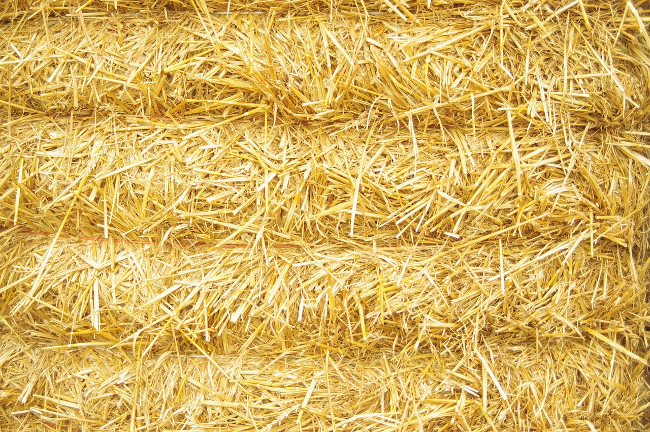 straw_hay.jpg