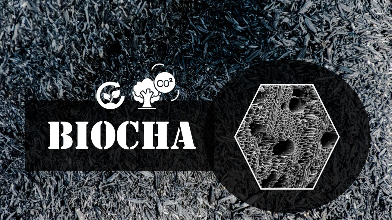 what-is-biochar-from-pyrolysis.jpg