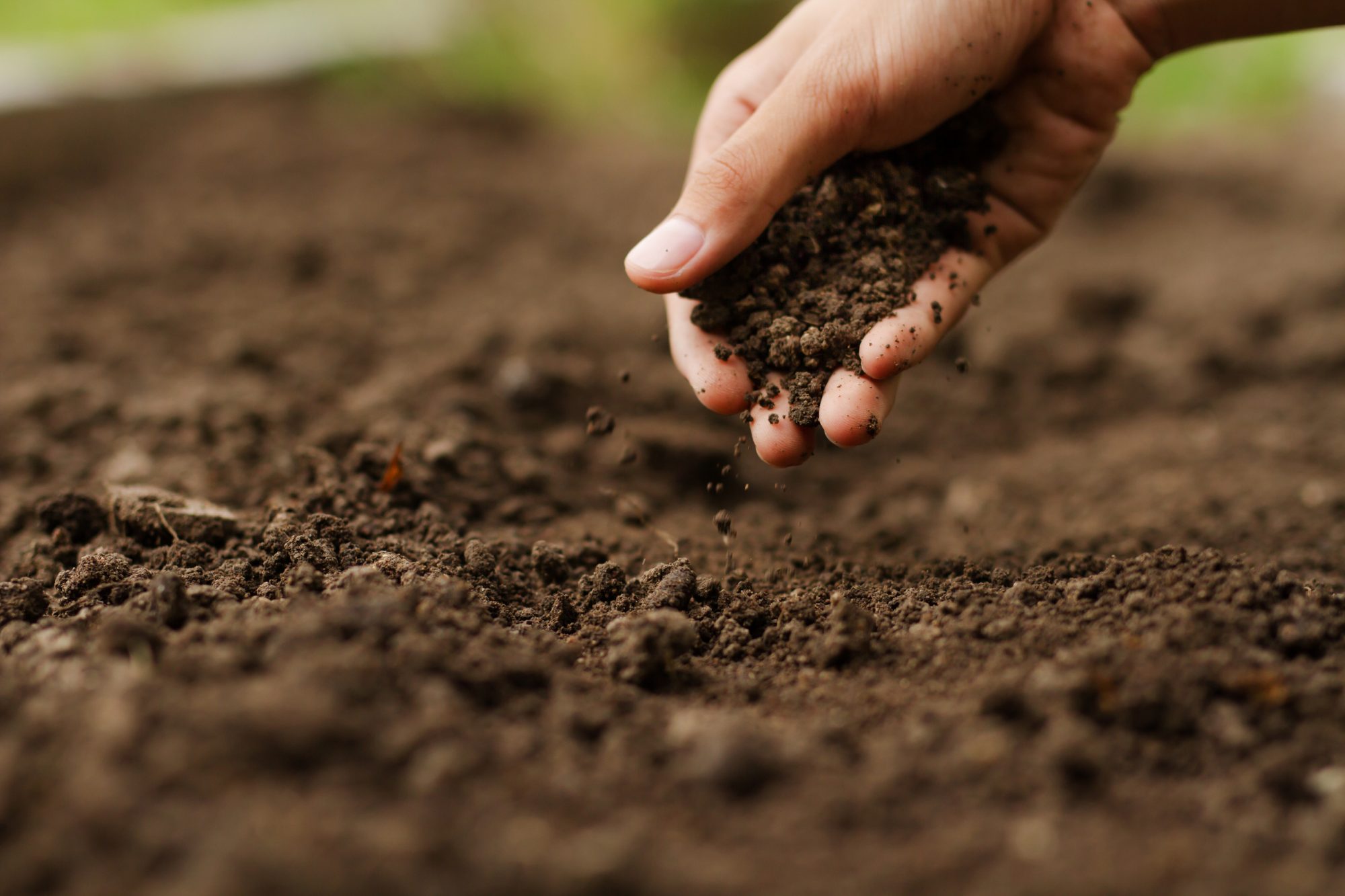 mobile_biochar_for_soil_improvement.jpg