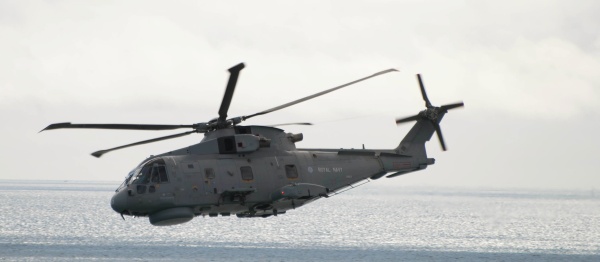 RN Merlin 03 bl.jpg