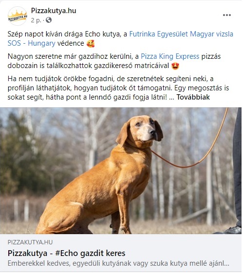 kozossegi_megosztas_1.jpg