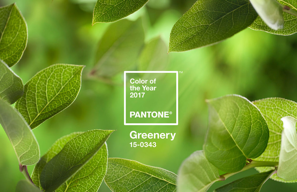 pantone-color-of-the-year-greenery-2017.jpg