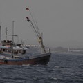 13. Matara - A bálnanéző túra