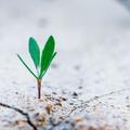 Growth mindset. 10 lehetőség az apró változtatásra.