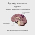 Így megy a stressz az agyadra...