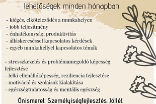 Szolgáltatások