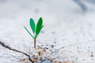Growth mindset. 10 lehetőség az apró változtatásra.
