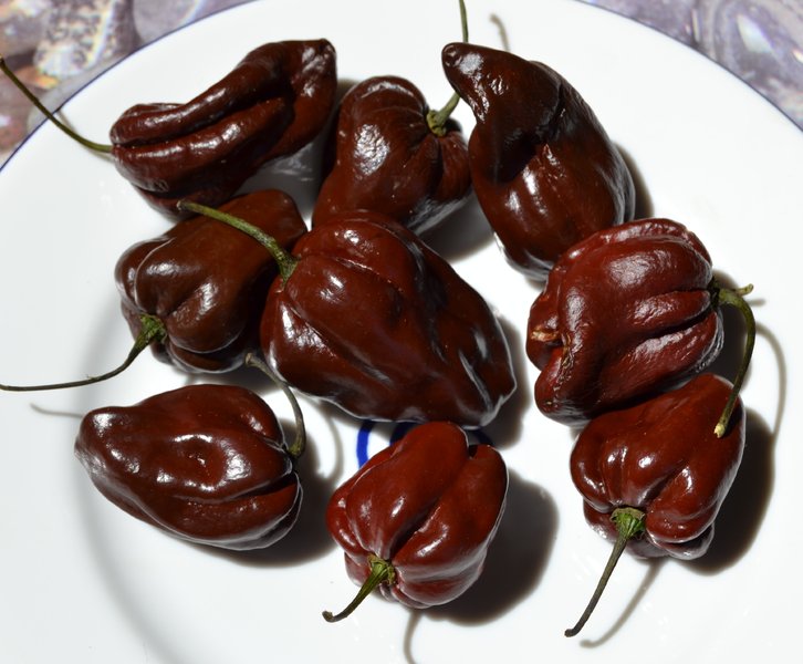 habanero_chocolate.jpg