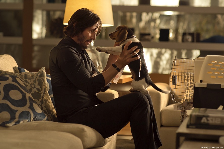 johnwick02_141118_v1.0.jpg