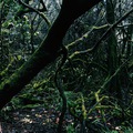 Costa Rica, a gazdag zöld ország