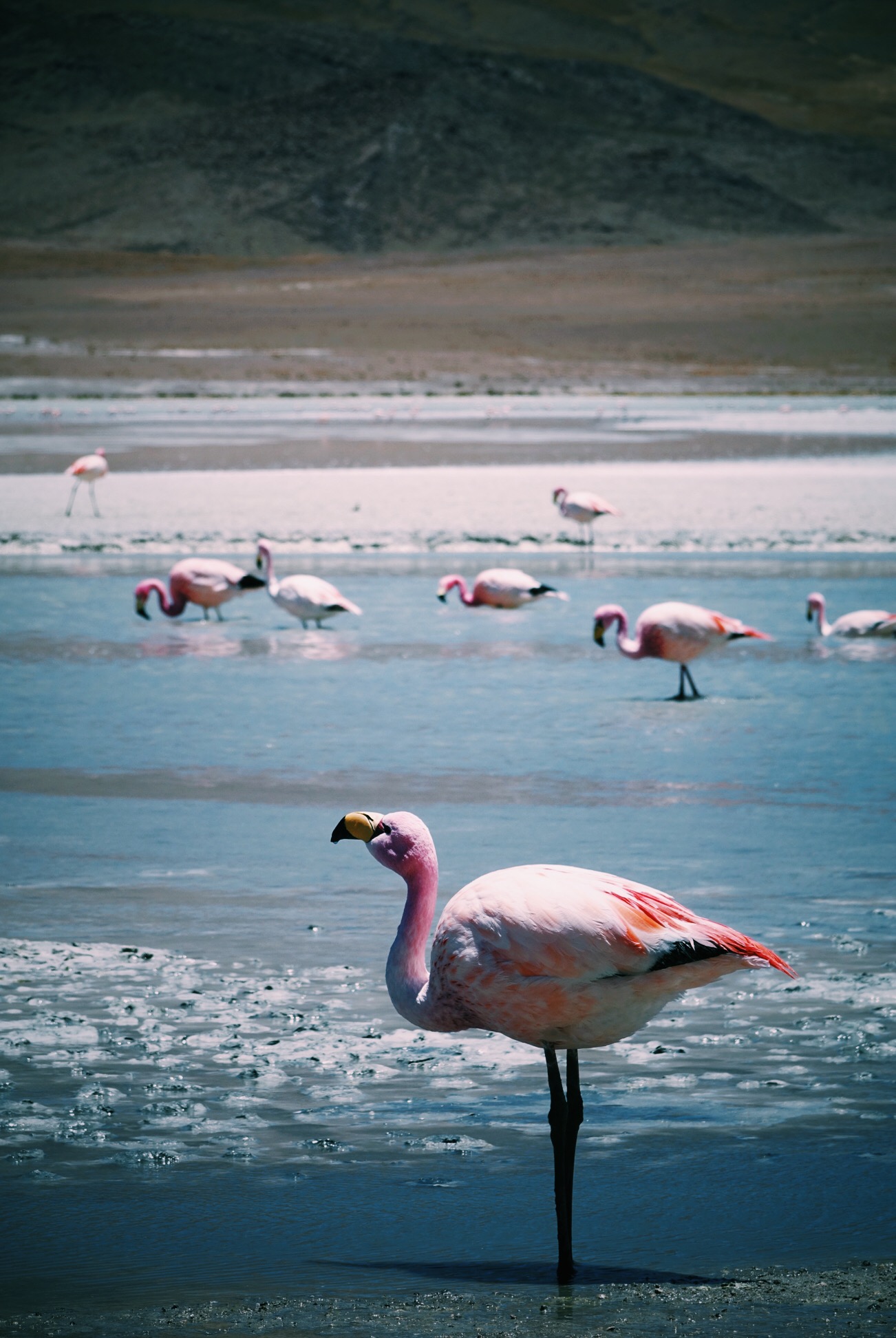 image_111.jpeg