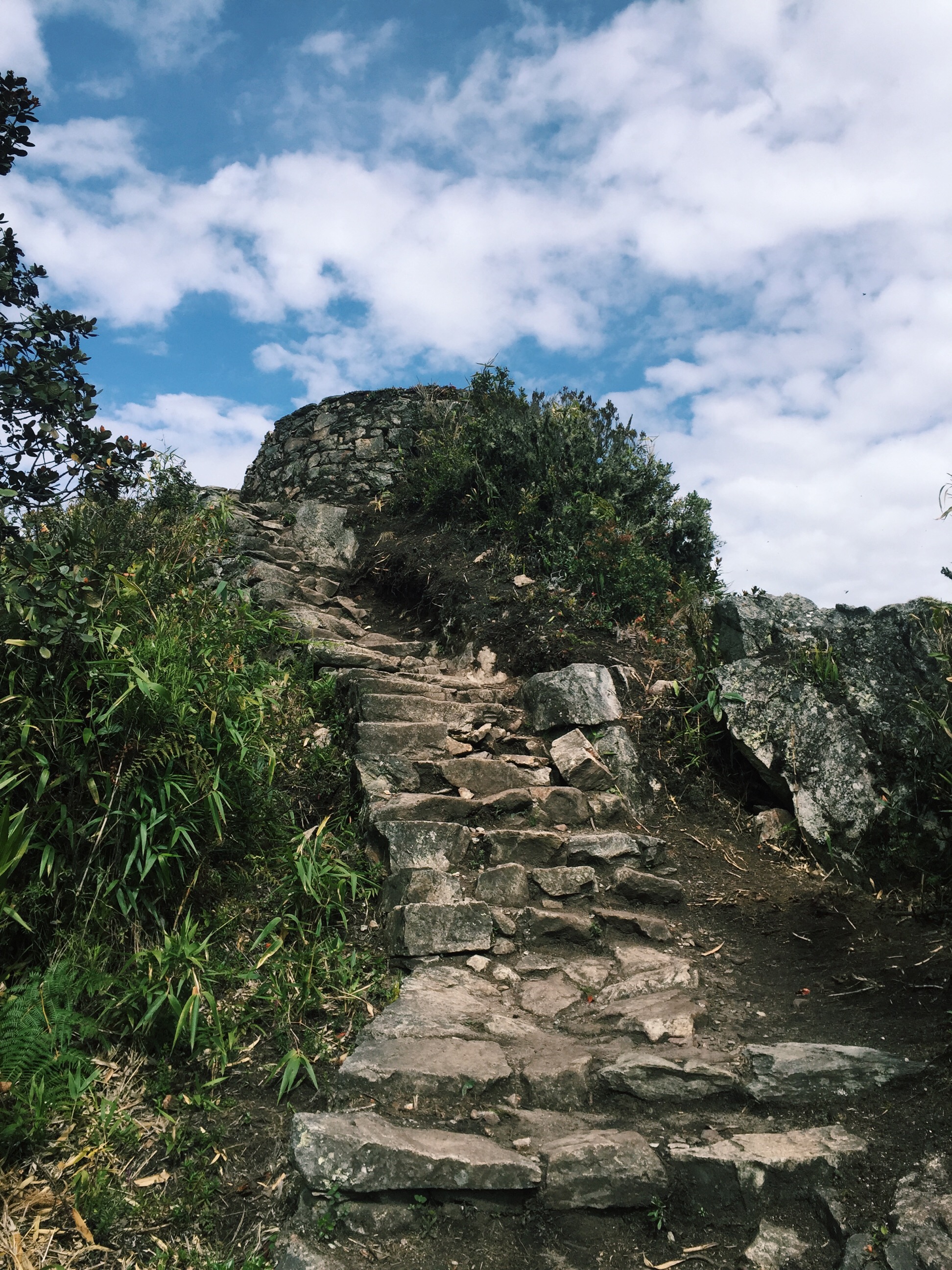 image_12.jpeg