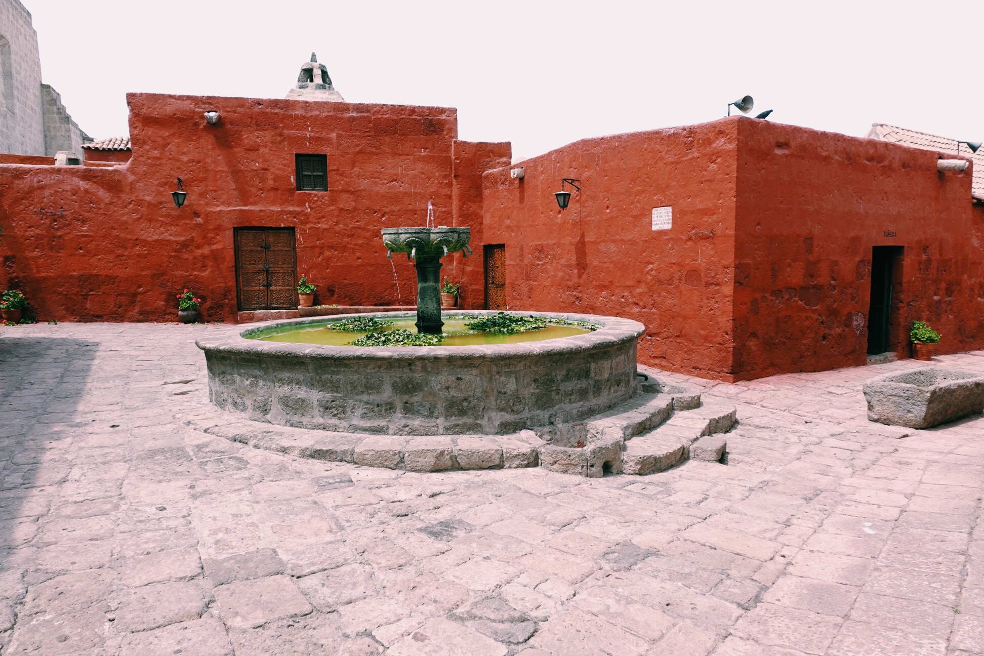 image_150.jpeg