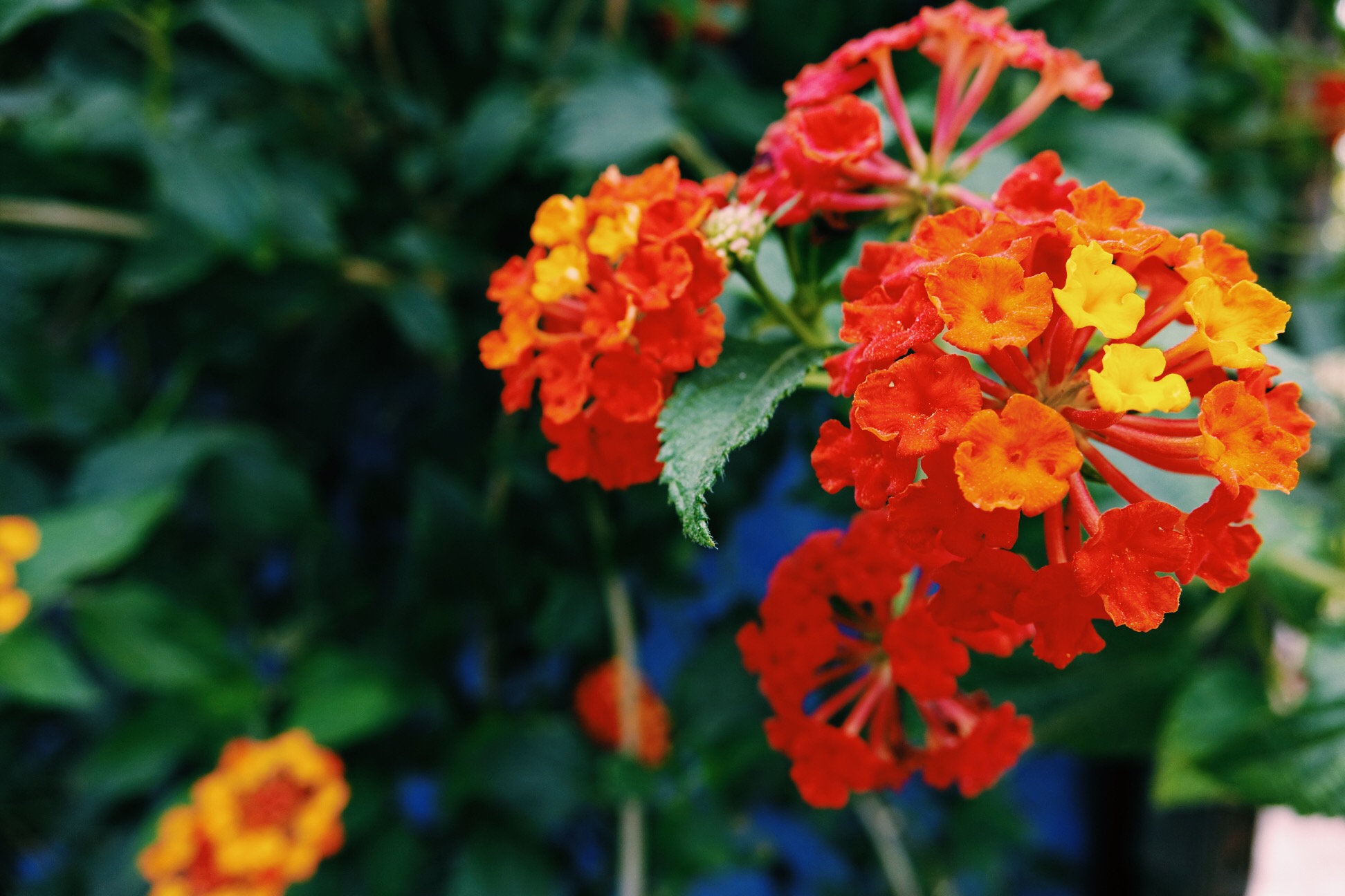image_152.jpeg