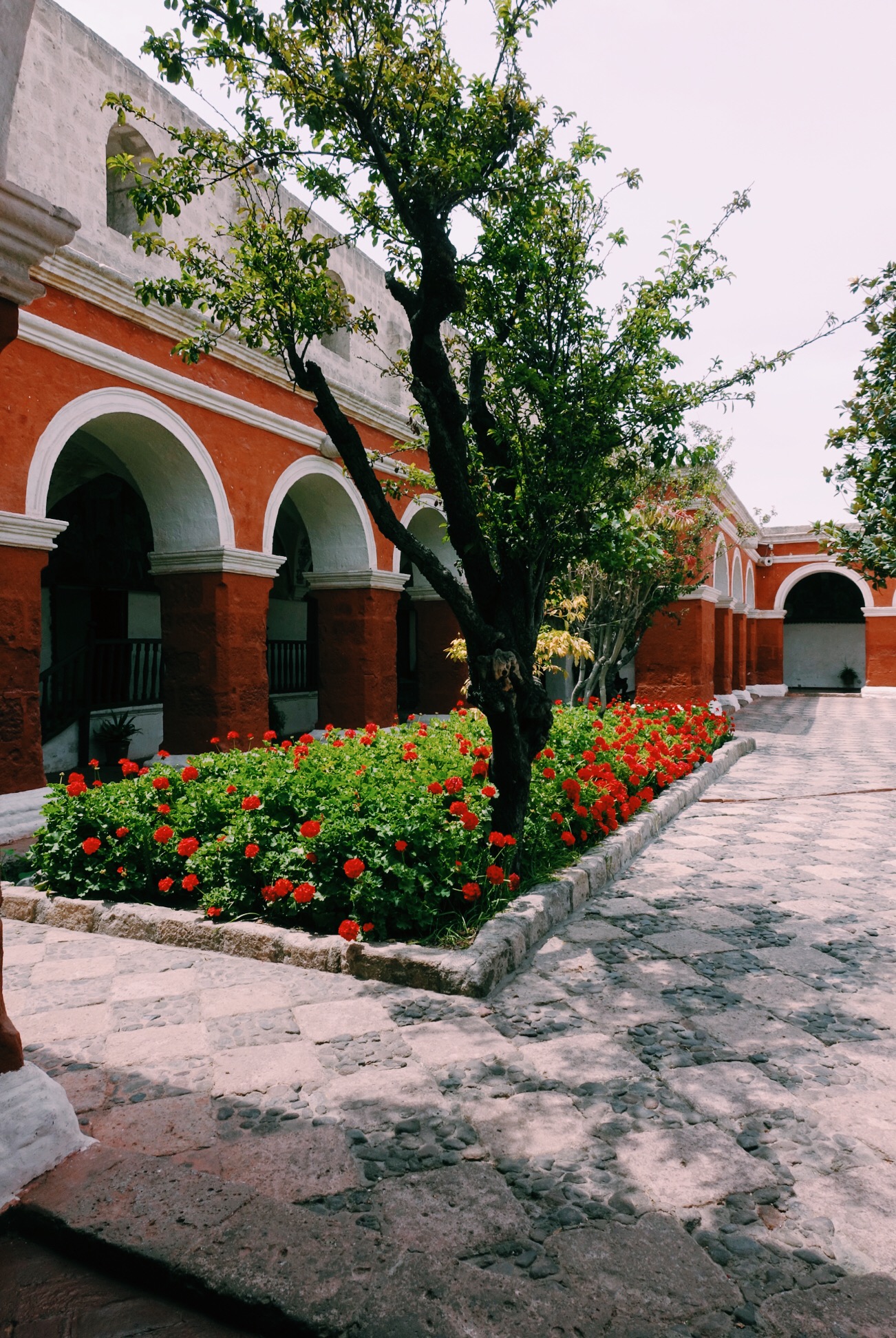 image_159.jpeg