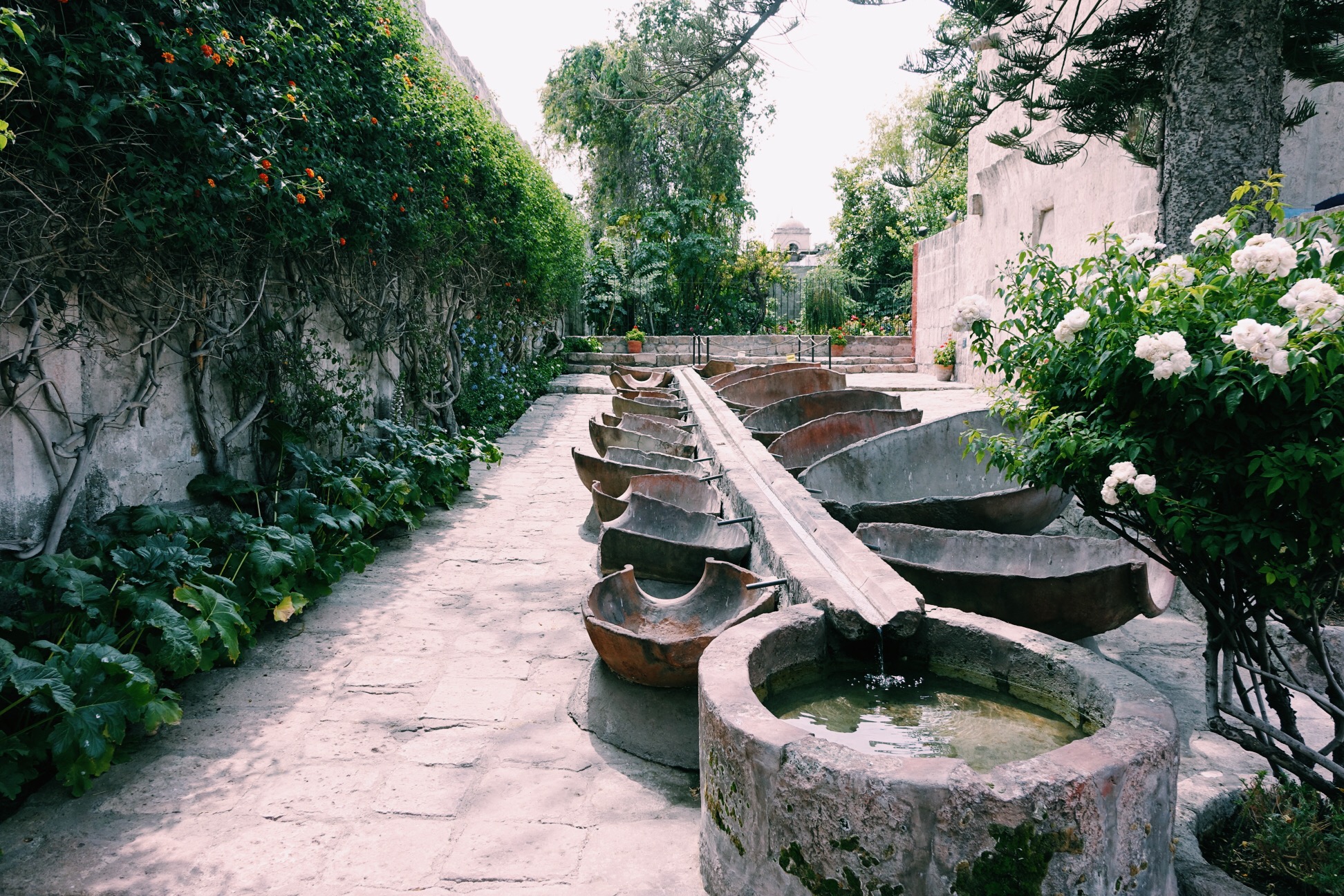 image_165.jpeg
