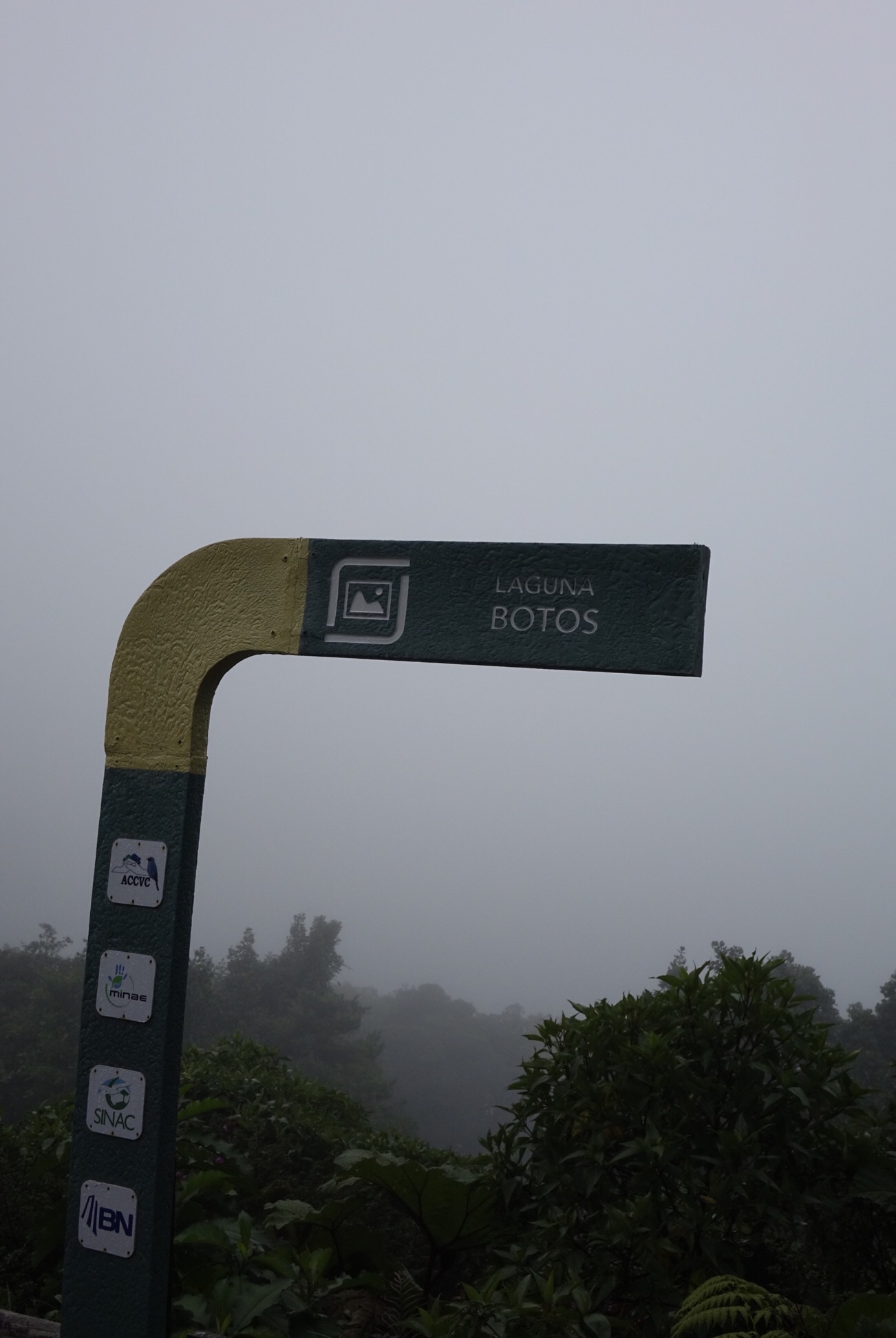 image_207.jpeg