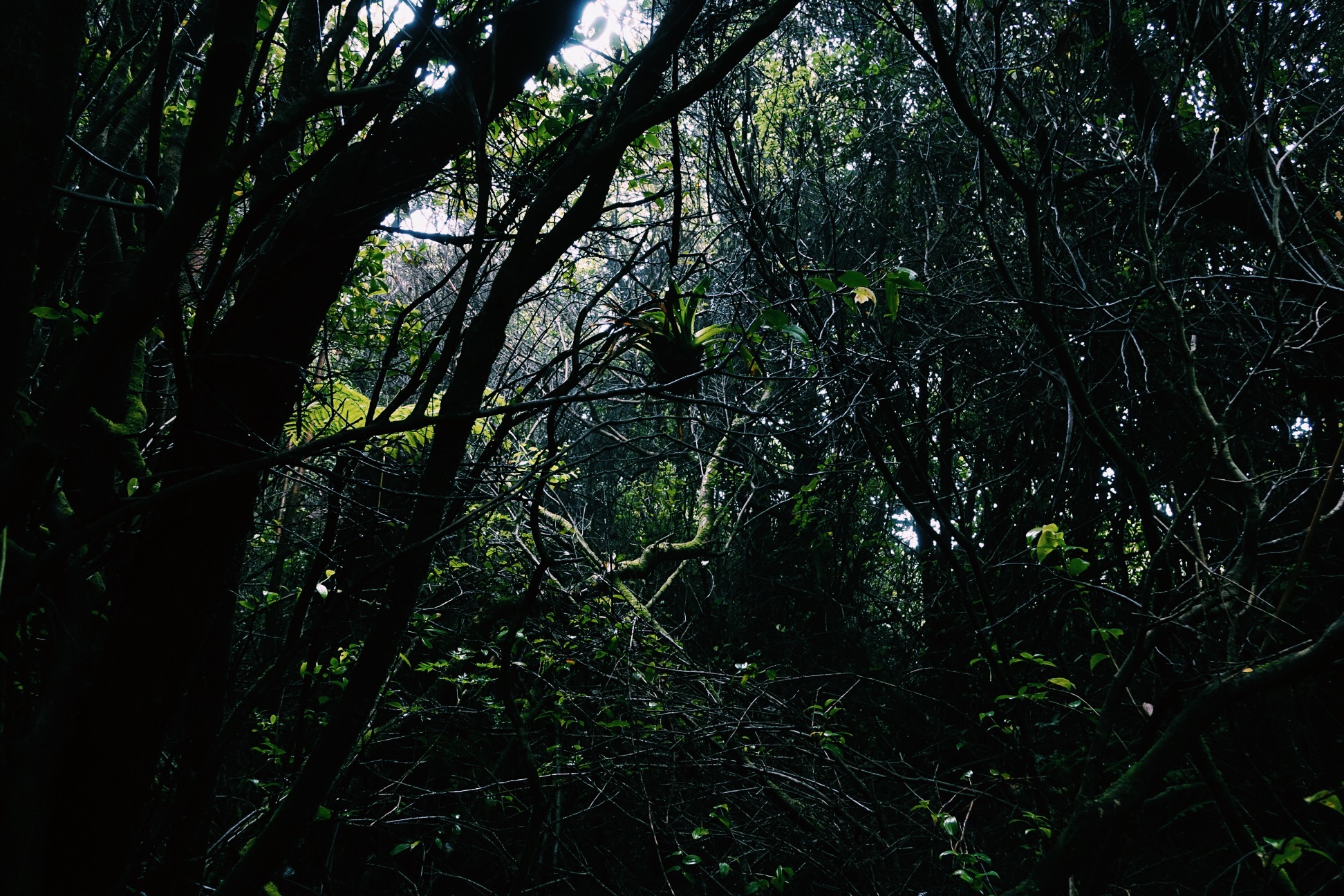 image_212.jpeg