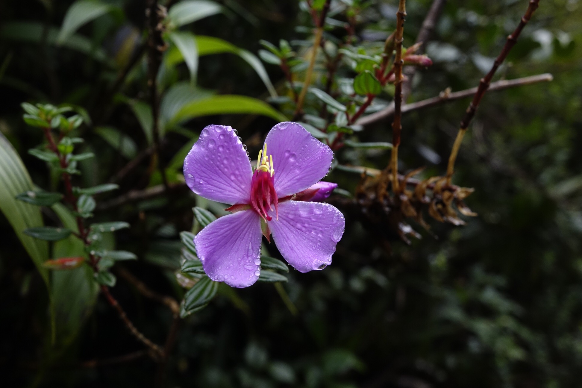 image_217.jpeg