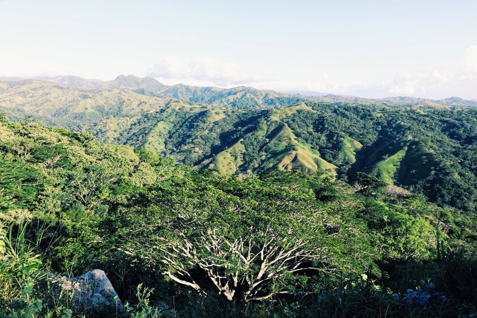 image_219.jpeg