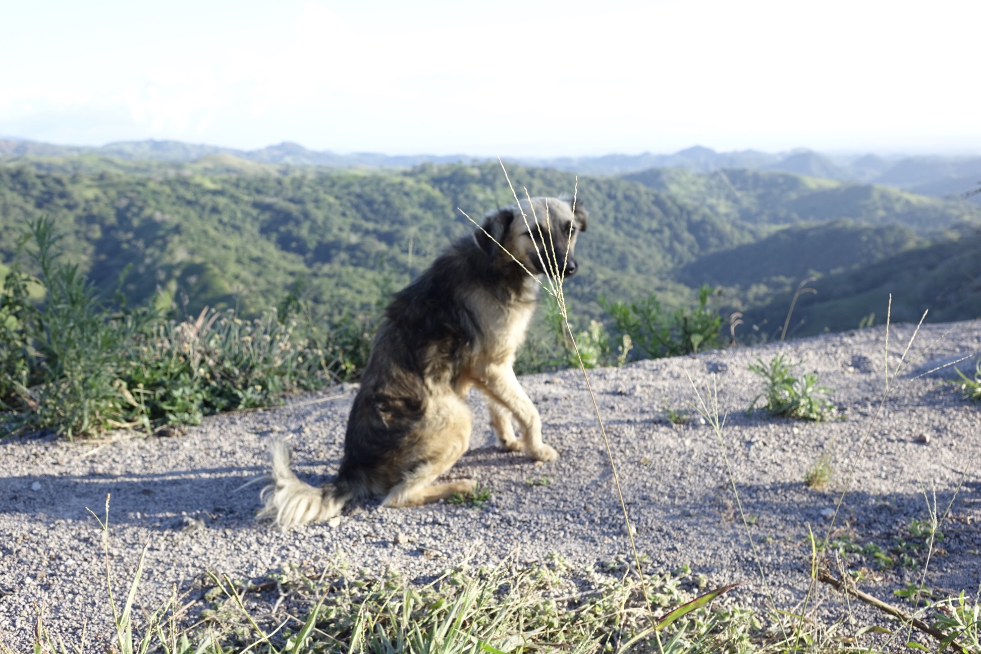 image_221.jpeg
