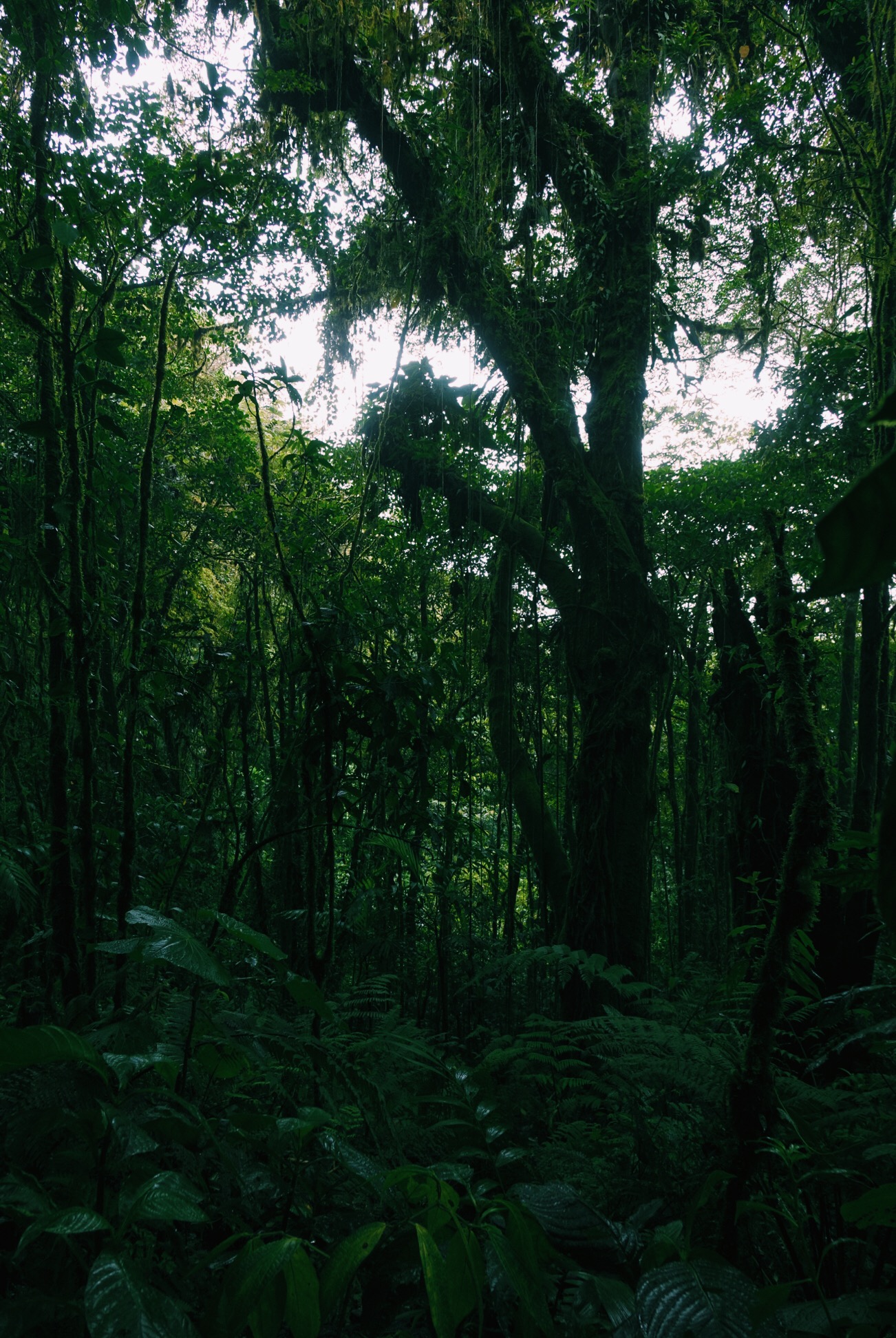 image_232.jpeg