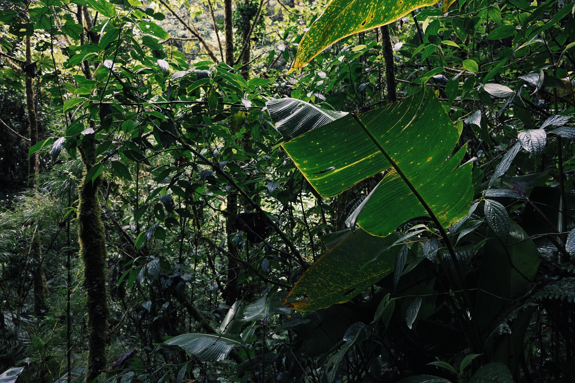 image_247.jpeg