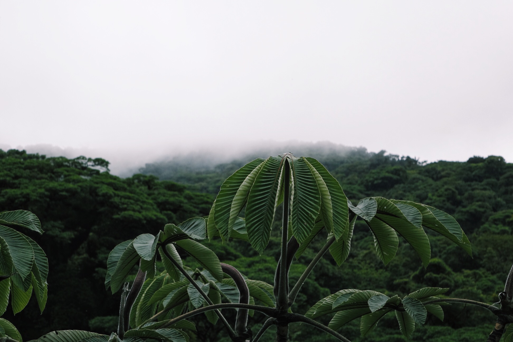 image_249.jpeg