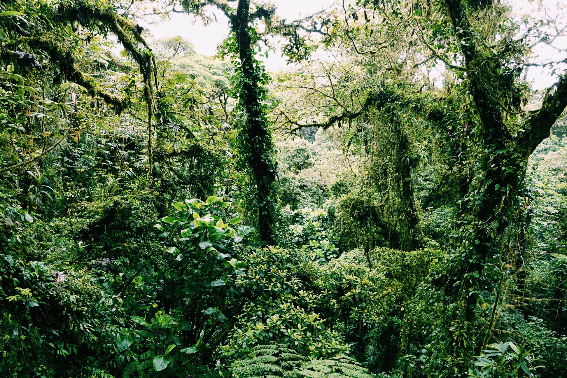 image_252.jpeg