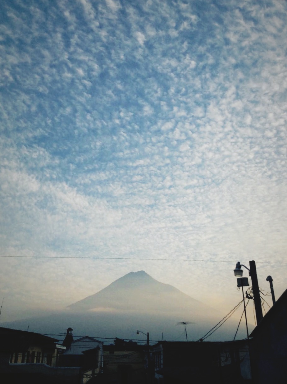 image_262.jpeg