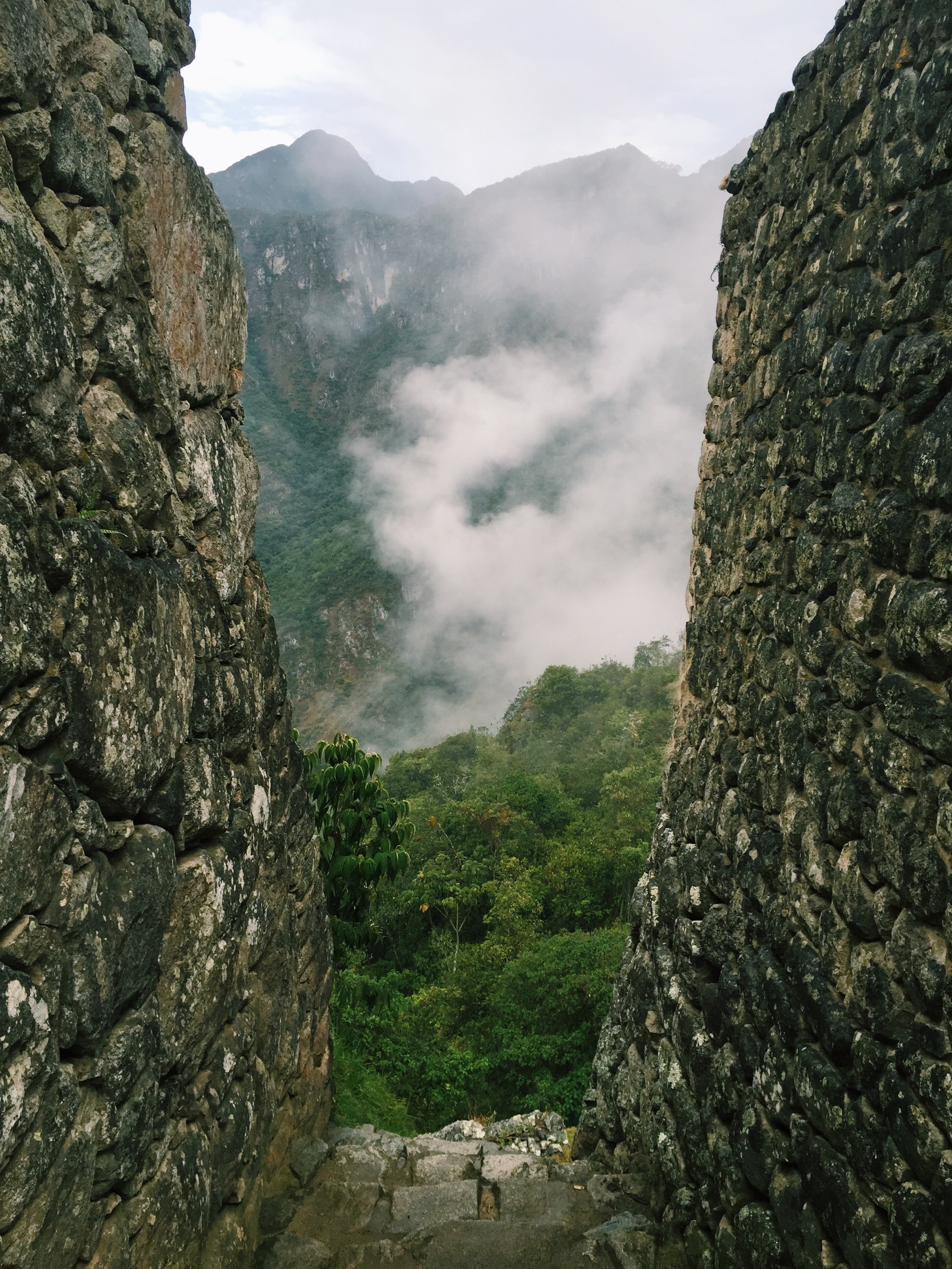image_34.jpeg