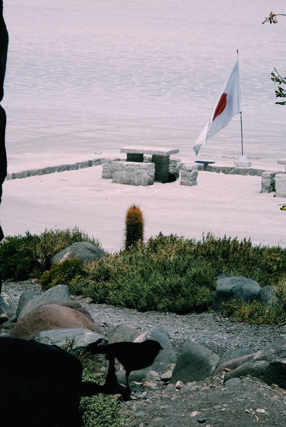 image_40.jpg
