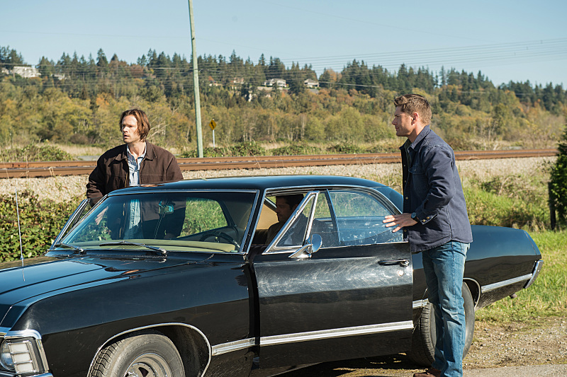 spn_12x8_1.jpg