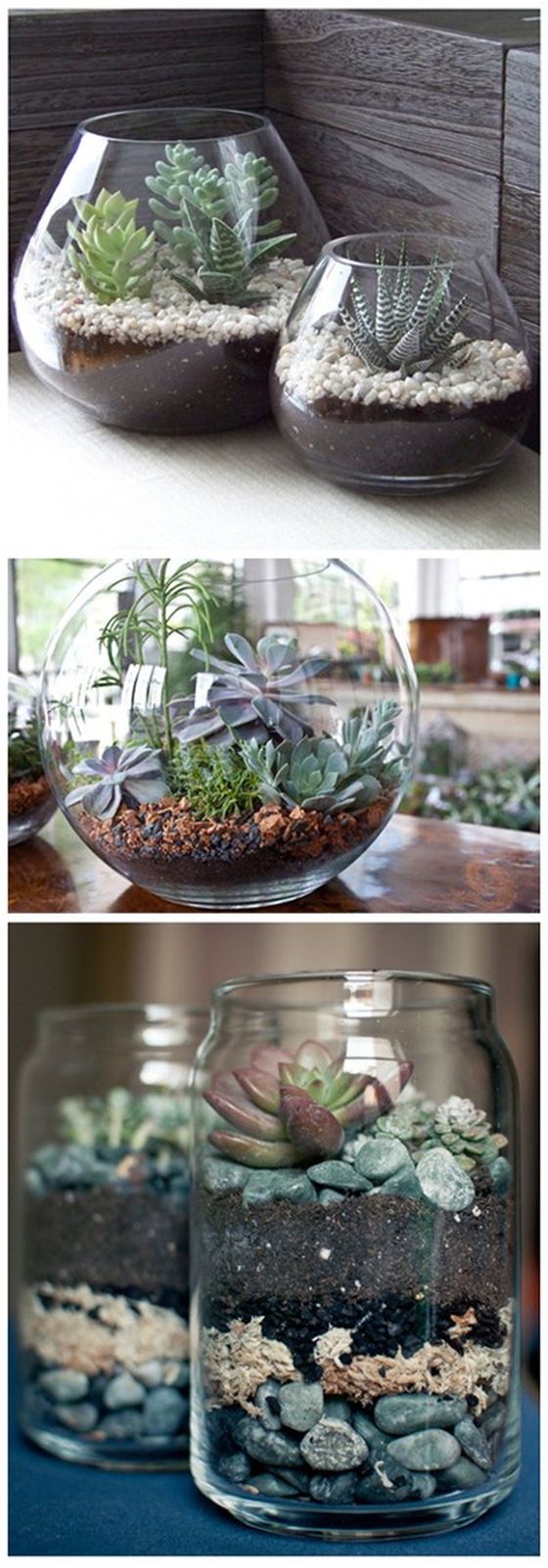 terrarium01.jpg