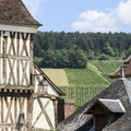 Chablis és a Côte d’Or: ásványok és elegancia Burgundiában