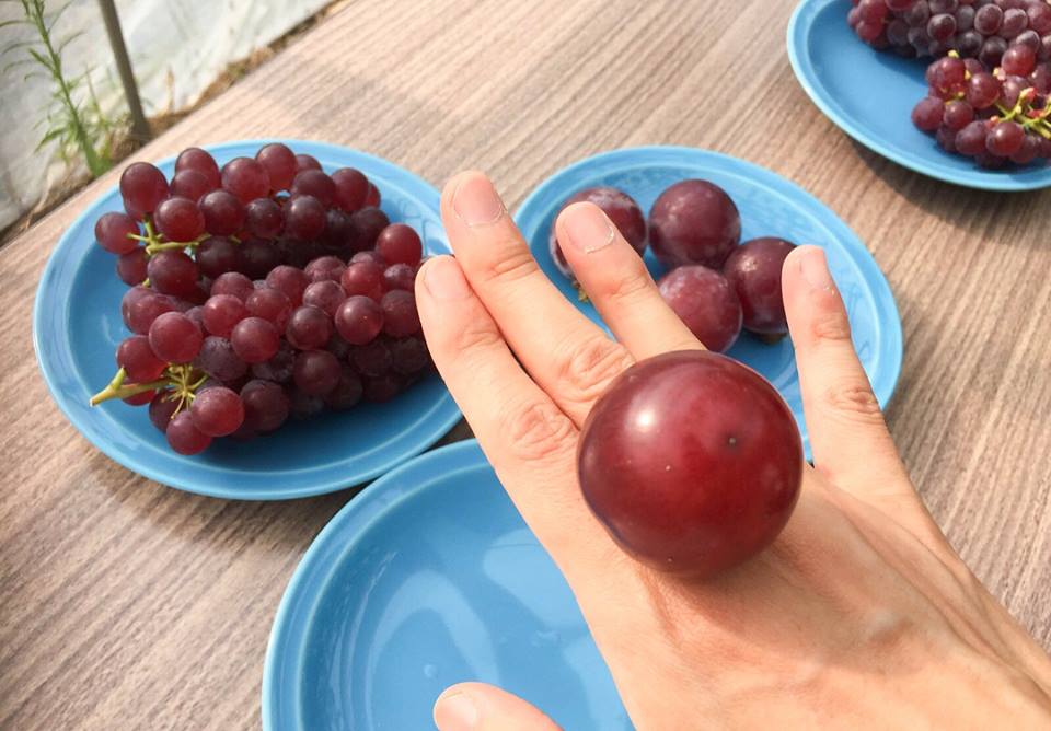 japanese-ruby-roman-grape-size.jpg