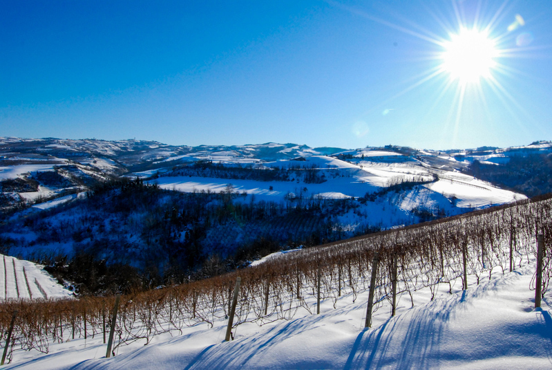 winery-winter-istock-1086303454.jpg