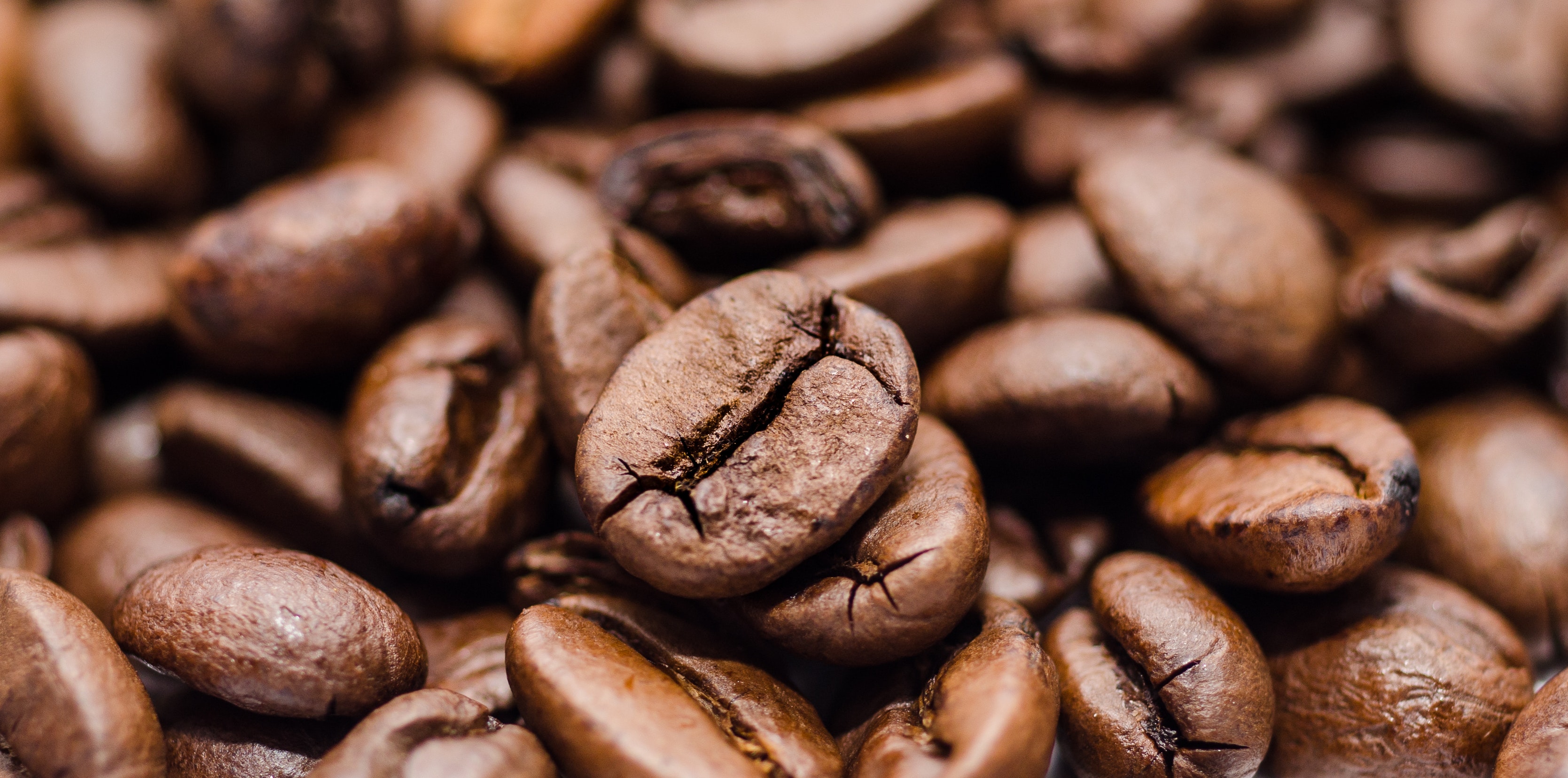 beans-brown-coffee-9186.jpg