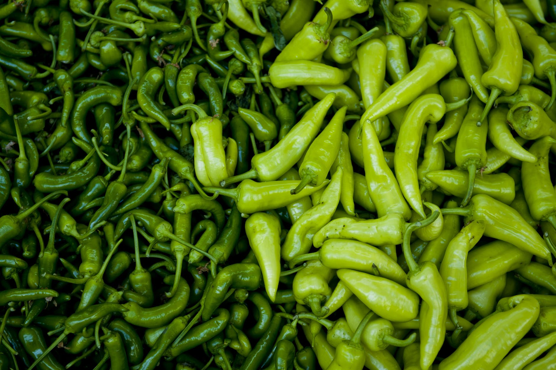 fresh-peppers-farmers-market-open-air-green-39479.jpeg