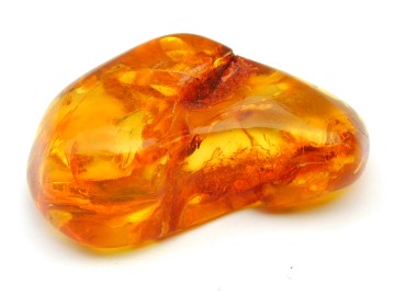 Amber1.jpg