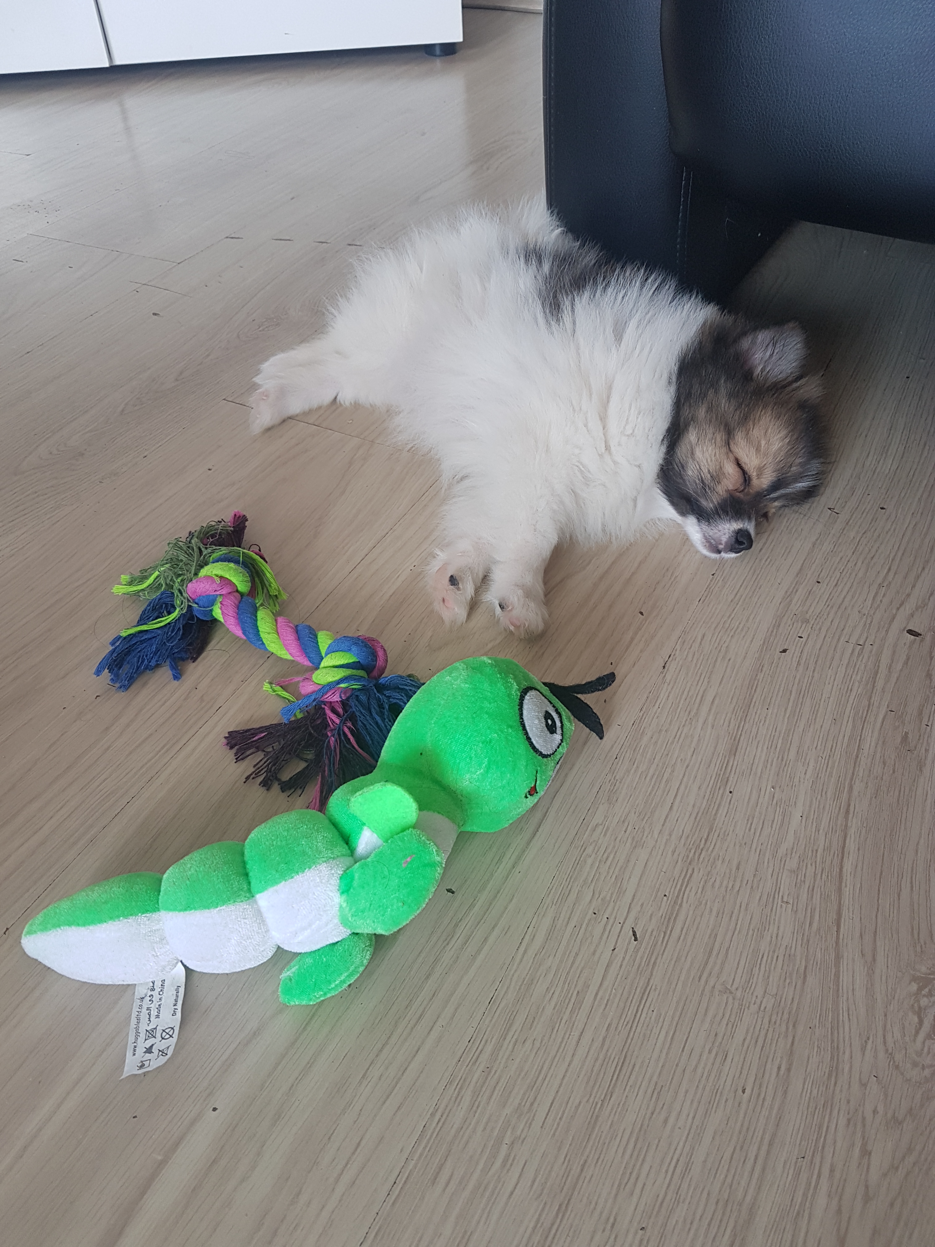 20180712_165838.jpg