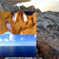 Málta, kincses szigetek, 3. rész