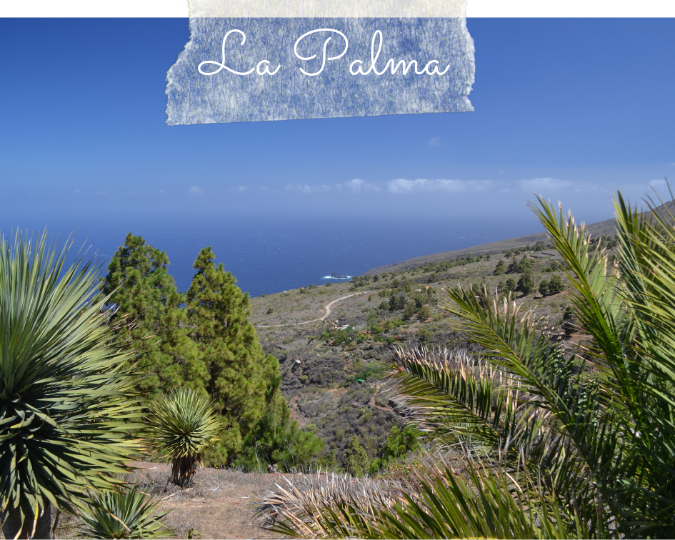 lapalma1.png