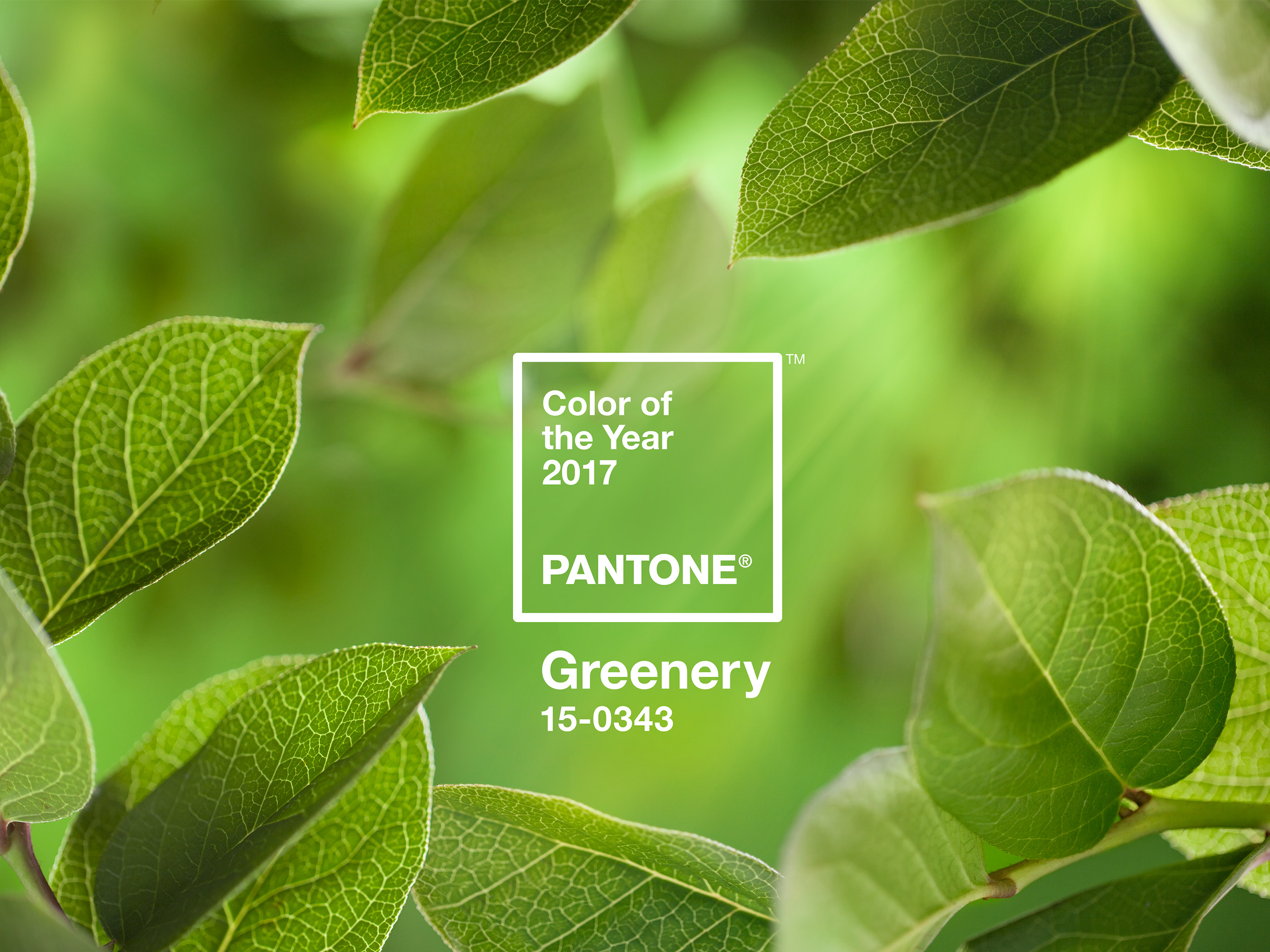 pantone_greenery.jpg