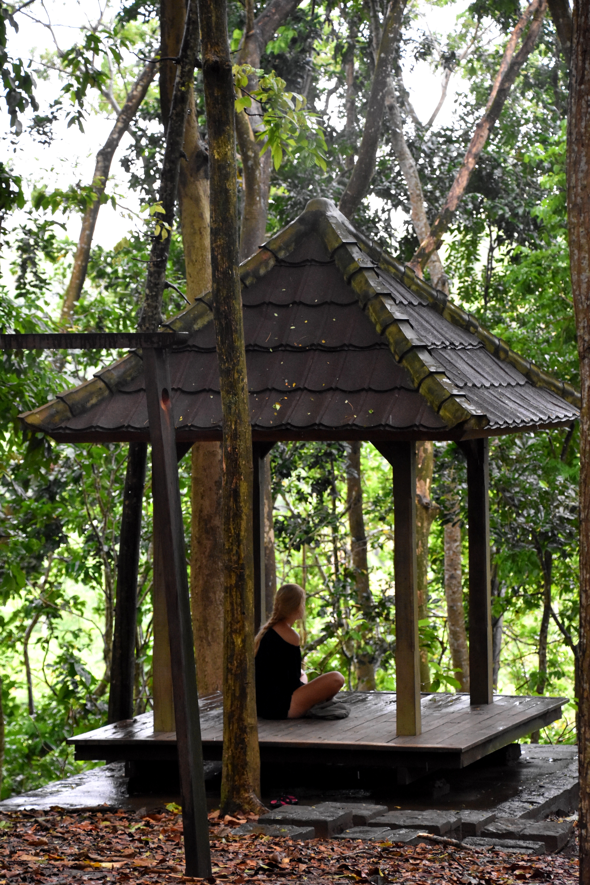 monkey_forest_10.JPG