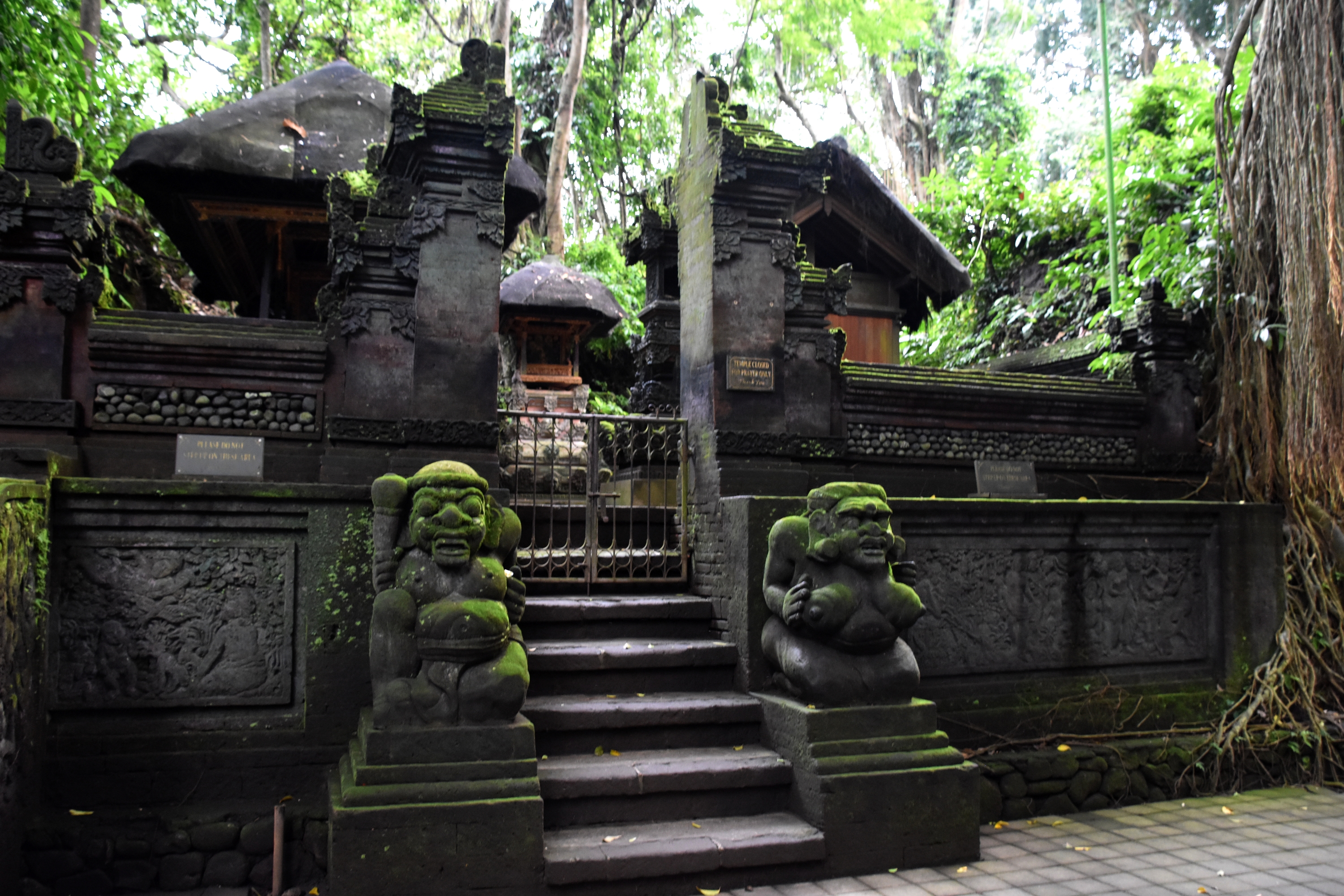monkey_forest_14.JPG