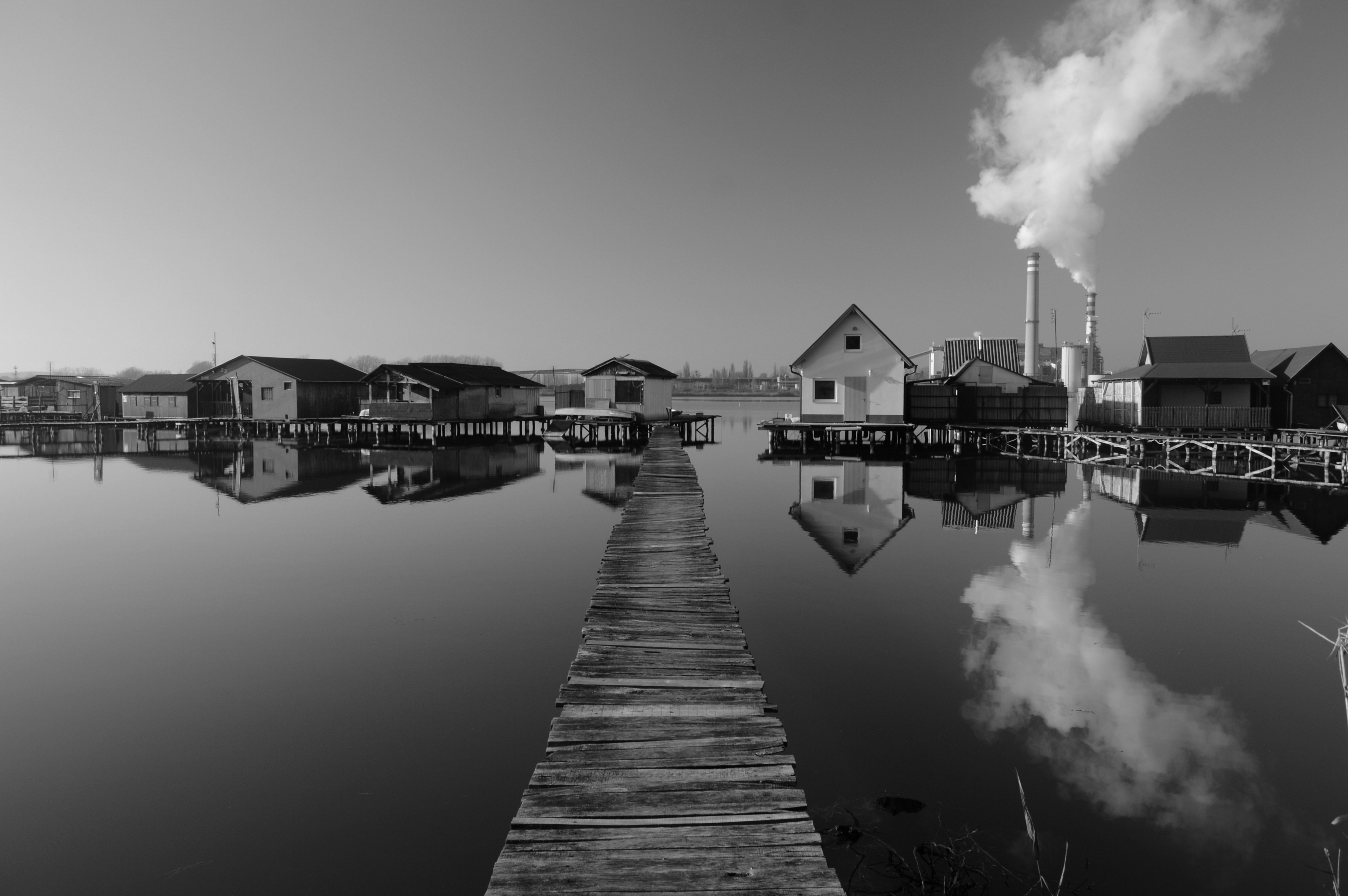 dsc_3012.JPG